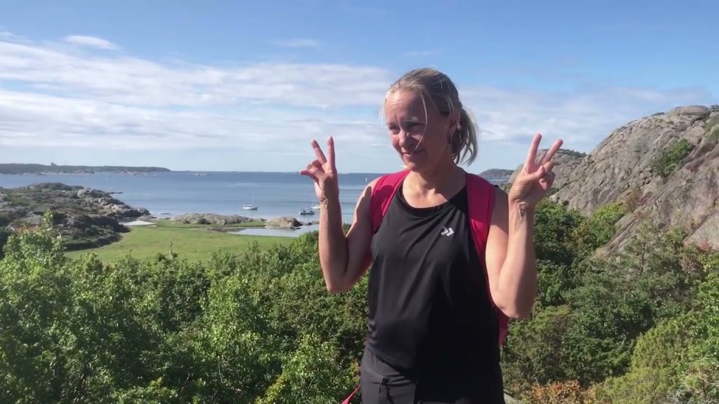 Älgar runt på Älgön